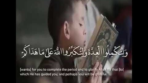 تلاوة رائعة للقارئ نايف الفيصل حالة واتس آب