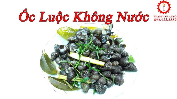 Cách Luộc Ốc Không Cần Nước - Bí Quyết Giữ Hương Vị Nguyên Bản