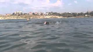 Крым , Ялта , Мисхор , пляж Русалка май 2013 год(Крым , Ялта , Мисхор , пляж Русалка май 2013 год Снять жильё у моря в Каче http://kacharent.ru/vibor-zhil-ya-v-kache Кача — посёлок..., 2015-06-06T06:00:01.000Z)