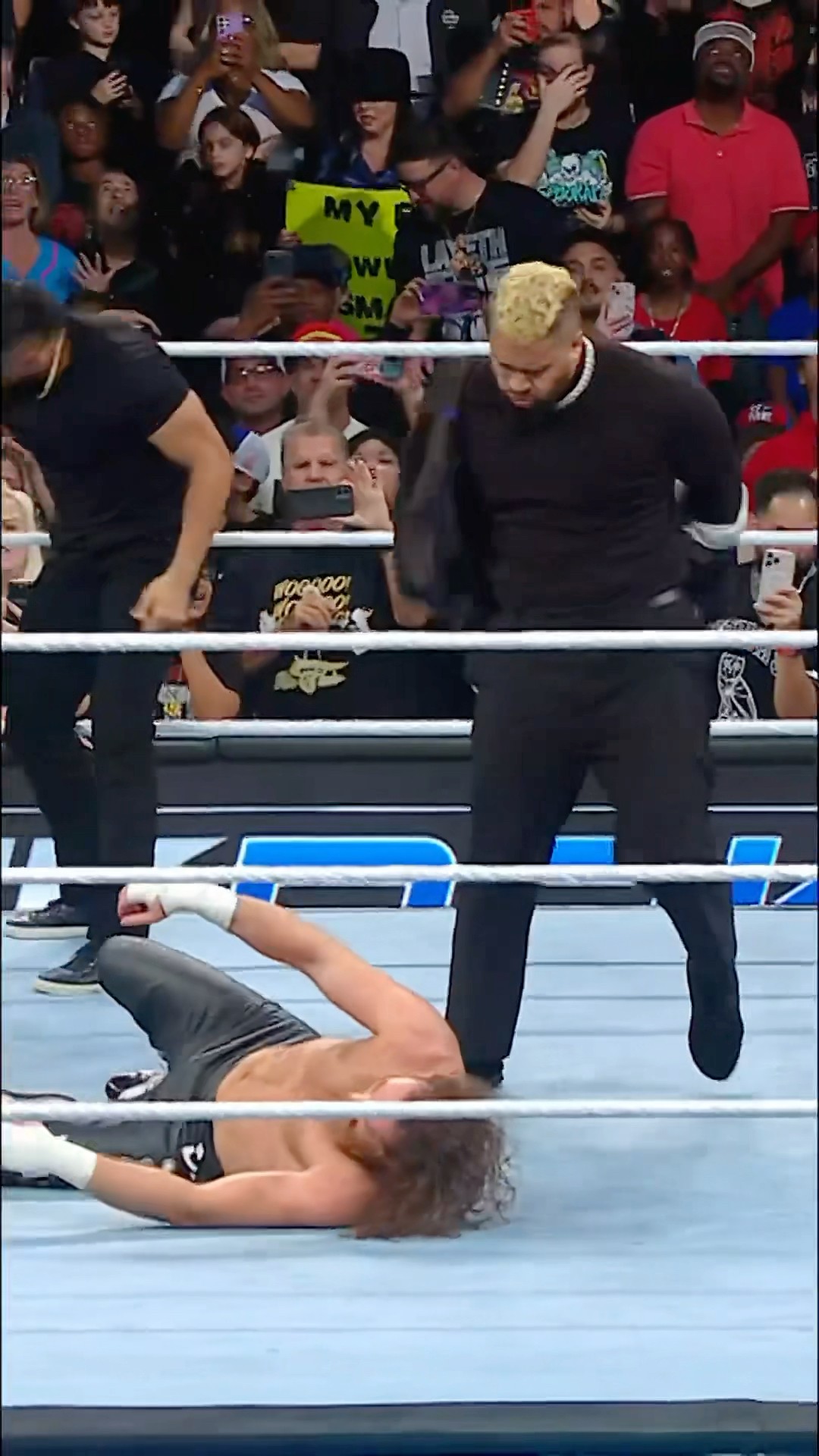 The Bloodline blindside Sami Zayn