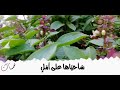 ليبقى لنا اثر جميل في هذه الحياه