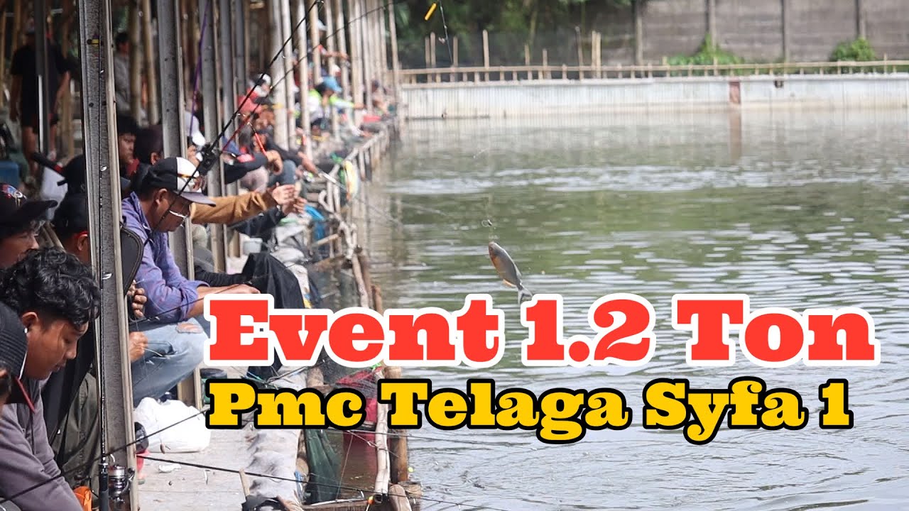 SEDIH KALAU DI CERITAIN | MANCING IKAN BAWAL 1,2 TON | Telaga Syfa 1 Curug