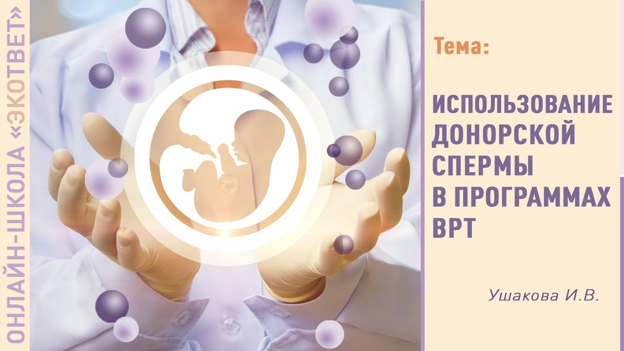 Ешек жуу видеосы Ұйқыдағы қуыршақтармен порно