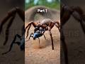The Silent Underground Hunter Spider 😱 | Deadly Trapdoor Spider Attack #shorts #short #shortvideo