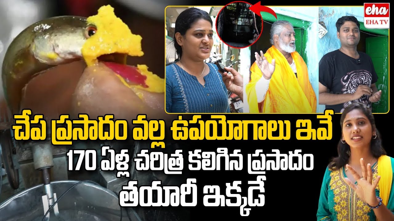 Fish Medicine Distribution 2025 in Hyderabad | Chepa Prasadam 2025 Nampally | EHA TV