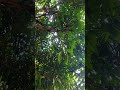 NO EDIT PURE NATURE ENVIRONMENT #nasarnature