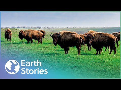 HOW CANADA'S LARGEST NATIONAL PARK IS MANAGED | A PARK FOR ALL SEASONS COMPILATION