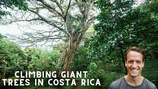 Tree Climbing in Costa Rica // BEHIND THE SCENES of Canopy Climbers