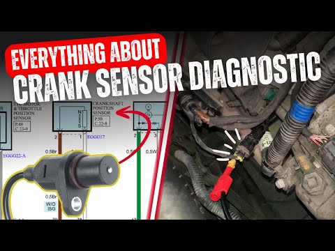 Automotive Oscilloscope Training