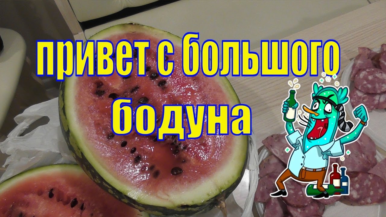 Смешные, привет с большого бодуна прикольные картинки