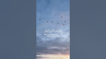 تلاوة خاشعة 🍉🤍 #viral #اكسبلور #المصحف #إسلام #راحة_نفسية #yasseraldossary#islam #quran