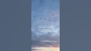 تلاوة خاشعة 🍉🤍 #viral #اكسبلور #المصحف #إسلام #راحة_نفسية #yasseraldossary#islam #quran
