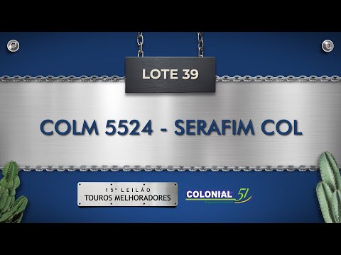 LOTE 39   COLM 5524