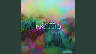 Inkognito (feat. Lars Rubix) - Galexy