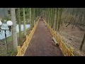 Волинська Швейцарія – Воротнівський ліс. Зима 2020. Xiaomi FIMI X8 SE