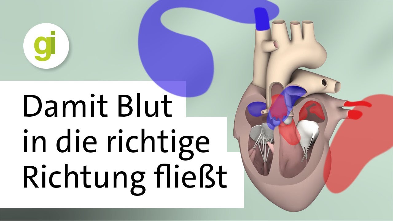 Das Herz Will Was Das Herz Will Das Herz Will Was Das Herz Will