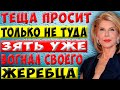 В новогоднюю ночь теща удивила. Истории из жизни.