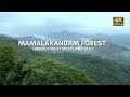 Mamalakandam forest  hidden spots  offroad  stay  vlog59