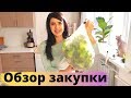 Обзор моей закупки продуктов на несколько дней 🌱/растительное питание