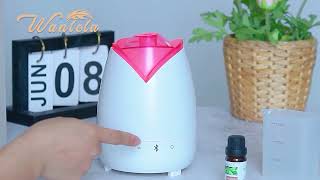 250Ml Rose Look Creative Essential Oil Diffuser