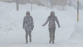 Val Di Zoldo, Quinto Giorno Consecutivo Di Nevicate Solo Un Gatto Per Le Strade