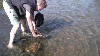 [HD] Biggest Trout I ever Caught in River Cheesman Canyon South Platte