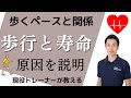 【歩行速度と寿命の関係】なぜ関係がある？