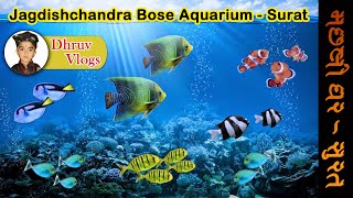 Jagdishchandra Bose Aquarium - Surat ( મછલી ઘર - સુરત)