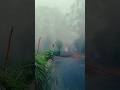 Nature beauty #kerala #munnar #hillstation #fog #telugushorts #shorts #keralatourism #munnar
