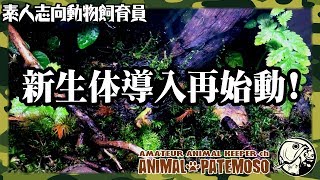 新生体導入でテラリウム再始動!