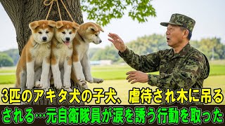 【奇跡の実話】3匹のアキタ犬の子犬が虐待され、木に吊るされていた…自衛隊の元軍人の行動が、見る者の涙を誘った。