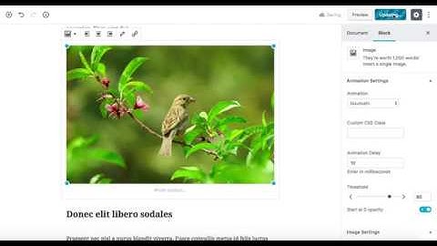 Animated Blocks for Gutenberg WordPress