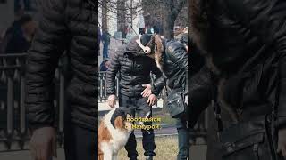 Собака Напала На Мужика🐶 - Пранк