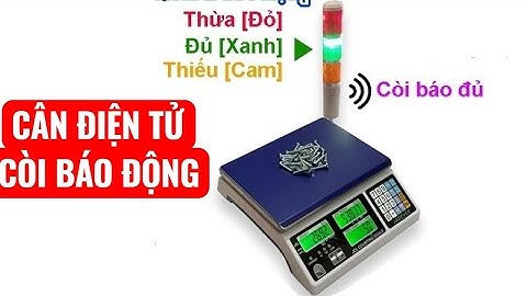 Cân Điện Tử Có Còi Báo Động - Cân Jadever JCL Gắn Cảnh Báo Đèn Báo 3 Màu #candientucanhbao