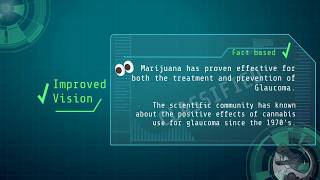 Cannabis Declassified - 7 Benefits of Cannabis