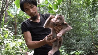 Rescue the baby monkey from the trap and hunger - Wilderness Alone - Episode 18