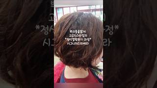 #요즘엄마파마#고급진시그니처셋팅펌#디지털펌#뿌리볼륨펌#정식열펌전문헤어샆#파마잘하는헤어샵##짧은머리#짧은컷트스…