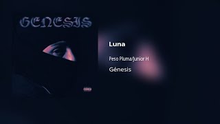 Peso Pluma, Junior H - Luna