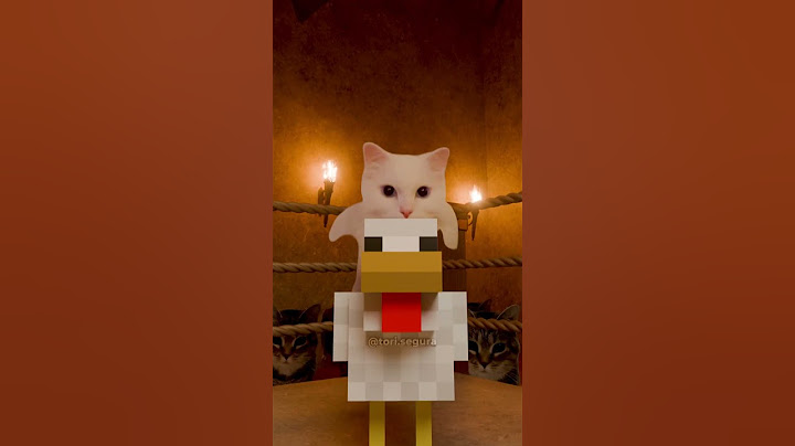 OIIA Cat x Chicken Jockey