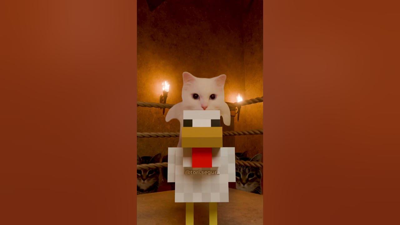 OIIA Cat x Chicken Jockey
