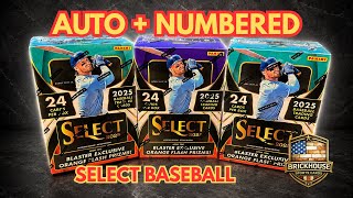 2025 Select Baseball Blasters | Did We Hit Anything Good