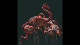 ( No Copyright Music ) Jennie SOLO Remix - By MADEBYZYU (CONTENT CREATOR)