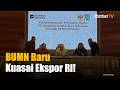 DSI Resmi Jadi BUMN! Rekrut Profesional dan Pegang Kendali Ekspor SDA RI