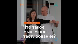 Что такое мышечное тестирование