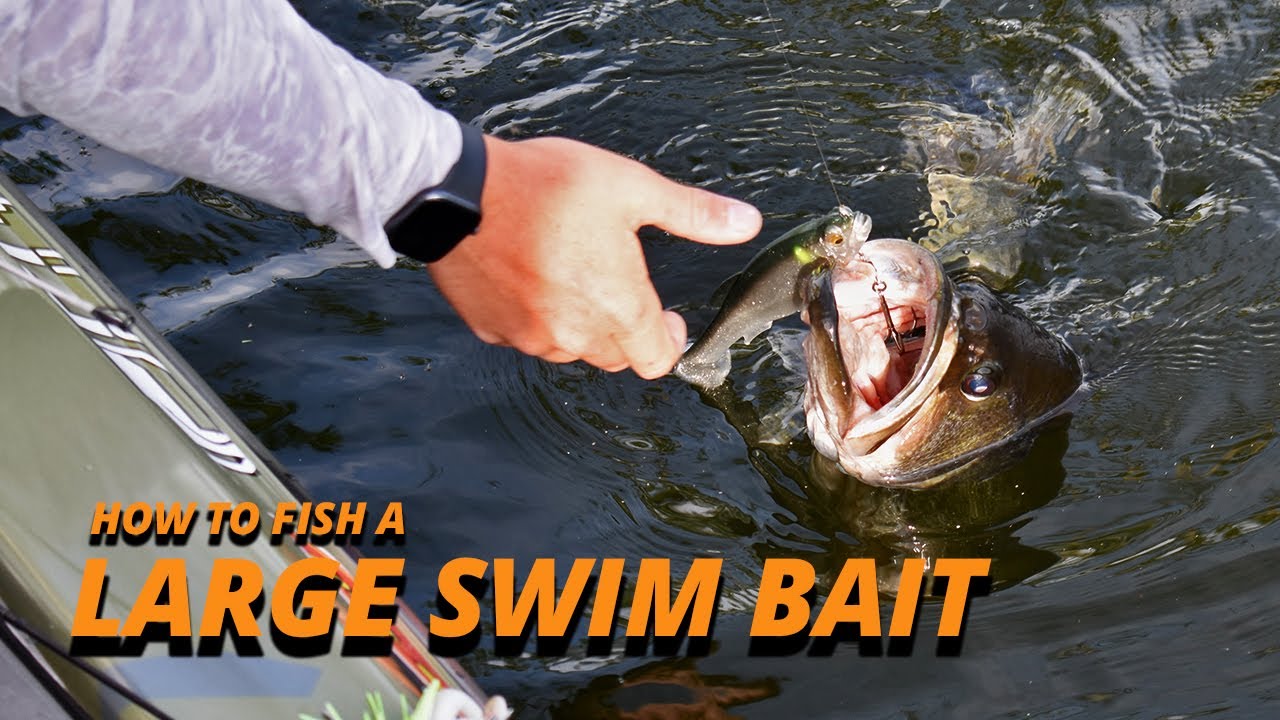 How to Fish a Large Swim Bait w/ Patrick Walters