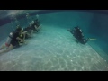 Isis &amp; her bffs learn to scuba dive.