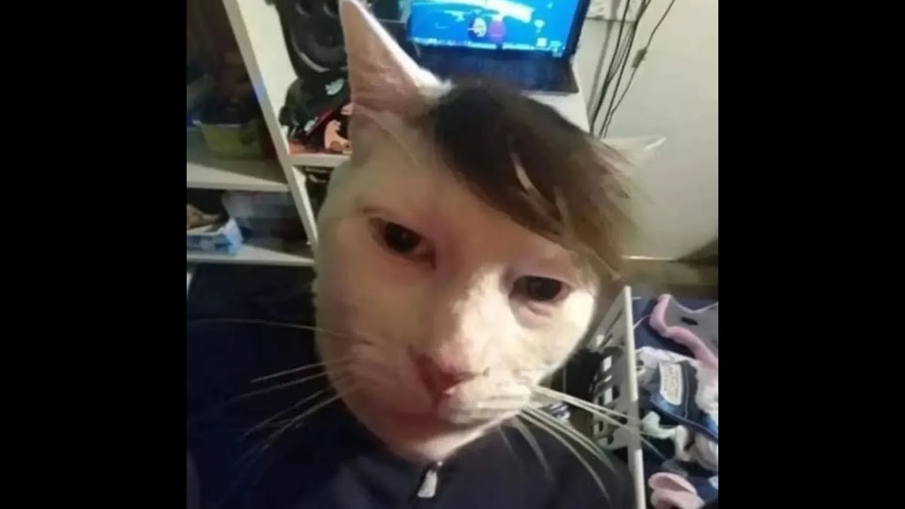 [Majestic RP] Abdull Snuggle