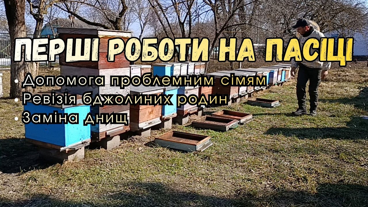 Перші роботи на пасіці. Ревізія бджолиних родин. Допомога проблемним сімям. Заміна днищ.