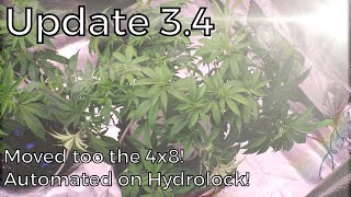 Update 3.4 | BlackCherry Explosion on to bigger spaces!