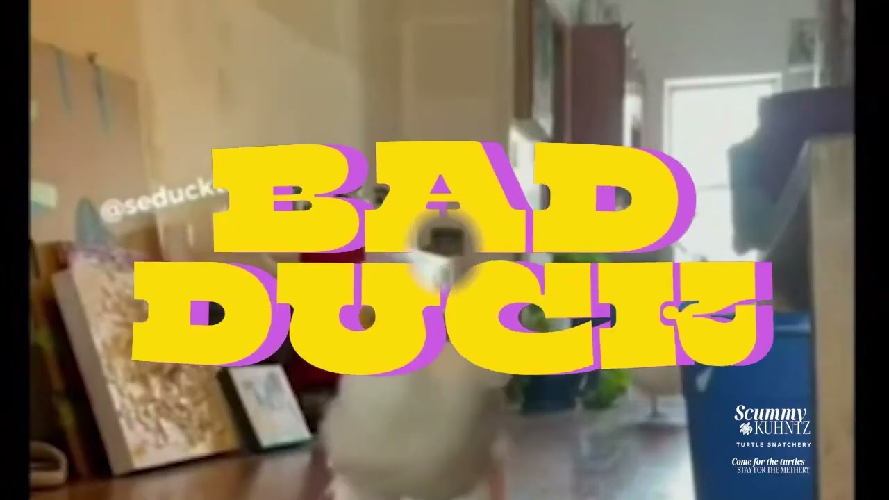 Bad Duck!  Created by @@rosalynduke